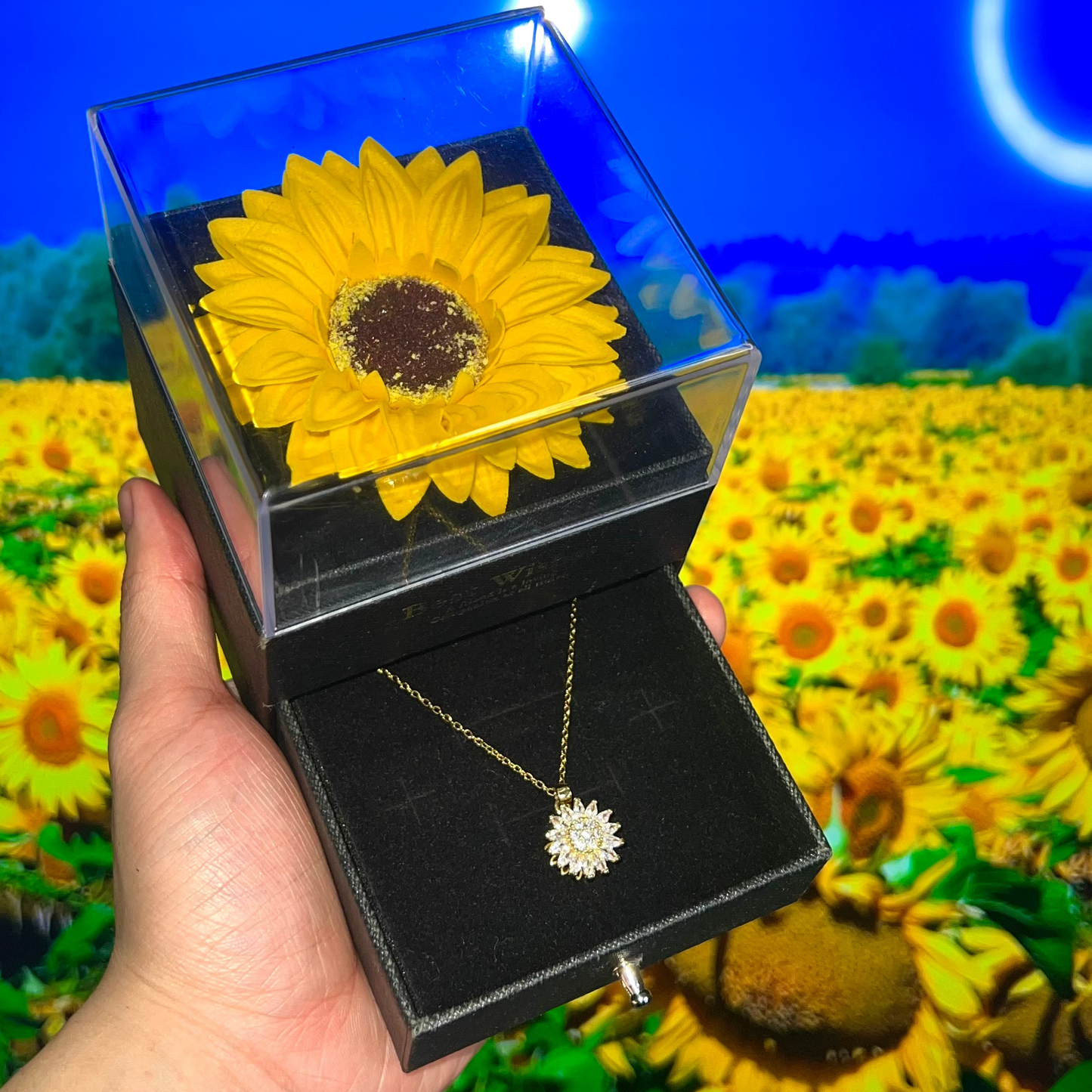 Collar Girasol Giratorio + Estuche Girasol Premium 🌻🎁